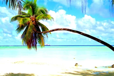 Full Hd Screensaver Wallpapers 63651