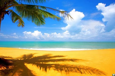 Computer Wallpapers And Screensavers 31 Desktop Backgrounds ...