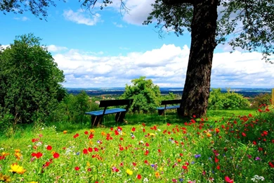 Spring Garden Desktop Wallpapers ~ Toptenpack.com