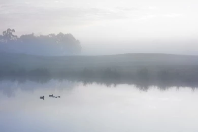 Apple Mac OS X Lion System Wallpapers 29778   Desktop Wallpapers ...