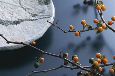 Zen Iphone Background Images