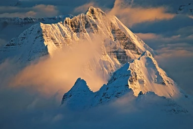 Mac Os X Mountain Lion Wallpapers Iphone 5   Galaxia Lion Fondo ...