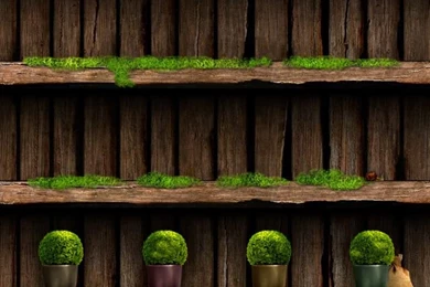 HD Camera Lens Iphone Wallpaper Backgrounds