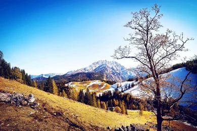 Nature Screensaver HD Backgrounds Wallpapers Collection 5 ...