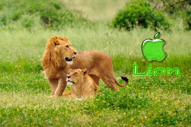 Now Feel A New Sense Of Technology Using Wallpapers For Your ...