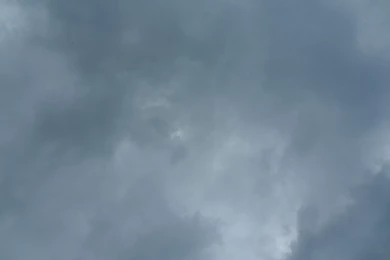 Pictures > Backgrounds For Photography Free Download