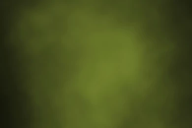 Free Digital Photos   Desktop Backgrounds