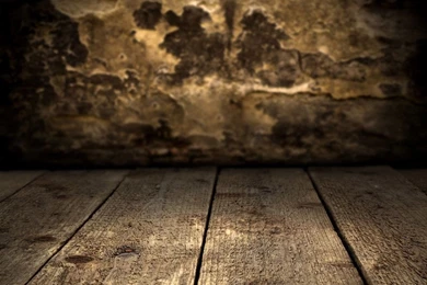 Vinyl Custom Photography Backdrop Prop Photo Studio Backgrounds ...