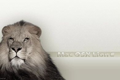 Wallpapers Mac OSX Lion By Macuser64 On DeviantArt