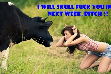 Free 3D Wallpapers Download: Funny Jokes Wallpaper, Funny Jokes ...