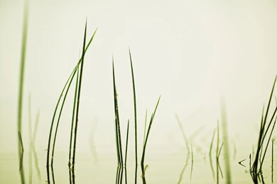 InterfaceLIFT: 2560x1440 Wallpapers Sorted By Comments