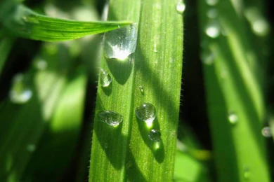 Free Desktop, Tablet And Ipad High Res Wallpapers Page 6