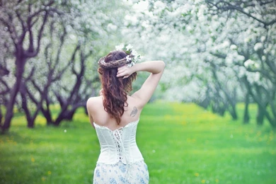 Serene Girl Under The Blossoming Trees Wallpapers   Photography ...