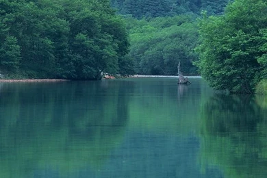 Serene Summer Lake Wallpapers   Green Lakeside Pictures13 ...