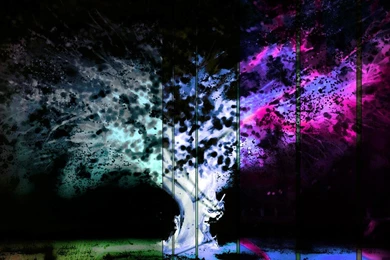 Funky Wallpapers 1600x1200   (