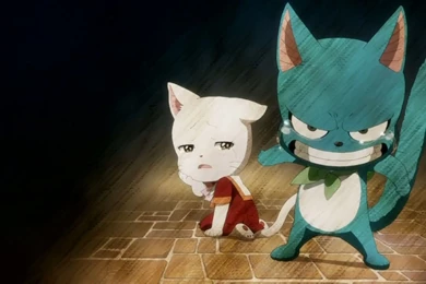 Fairy Tail Happy Wallpapers   Wallpapers Cave