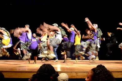 Omega Psi Phi (Fall 2013 SCSU Bulldog Showcase ...