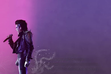 Adam Mardi Gras Wallpapers   Adam Lambert Wallpapers (10830100)   Fanpop