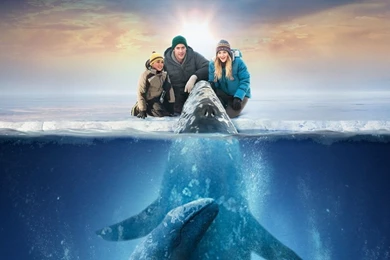 Big Miracle Wallpapers