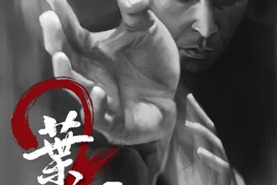 IP MAN By Fong saiyuk On DeviantArt
