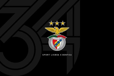 Browsing Wallpapers On DeviantArt