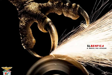 Aguia Benfica Wallpapers   (