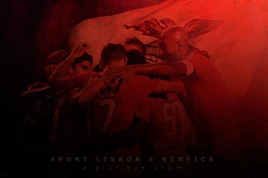 Benfica E Pluribus Unum Wallpapers By RAAT96 On DeviantArt