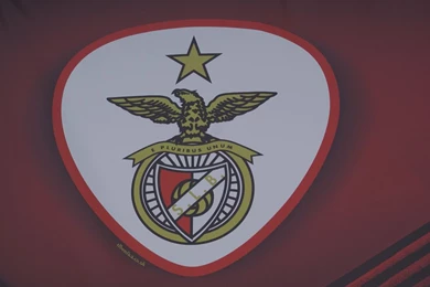 Planet Benfica Forum • View Topic   Benfica Wallpapers