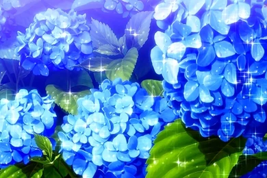 Scenery Anime Tree Backgrounds For Desktop