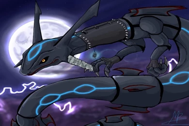 Pokemon Legendary Full HD Wallpapers 1633   HD Wallpapers Site