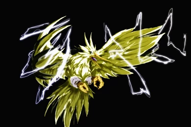 Favourite Pokemon Legendary Black Art Wallpapers