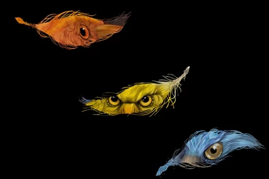 The Three Legendary Bird Pokemon[1600x1200] : Wallpapers