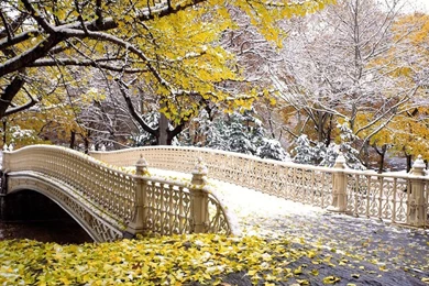 Nature_Wallpapers_High_Resolution 12.jpg