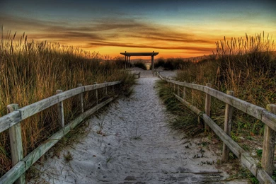 Garden Desktop Nature