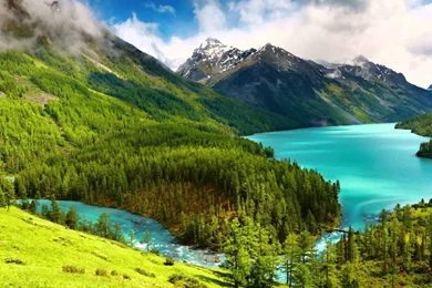 Nature Backgrounds, Hd Wallpapers, Flower Images, Beautiful, Green ...