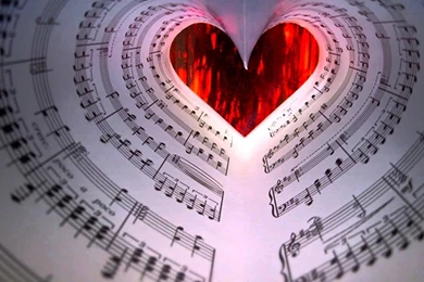 Top Love Wallpapers HD   YouTube