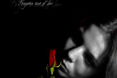 Forgotten_taste_of_love 865205.jpeg