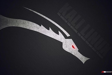Kali Linux >> HD Wallpaper, Get It Now!