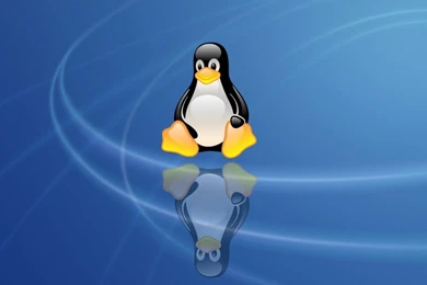Linux Unix Penguin Computer Os HD Wallpapers Wallpapers   (