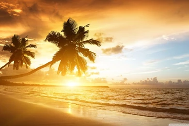 Amazing HD Desktop Wallpapers : High Definition : Fullscreen ...