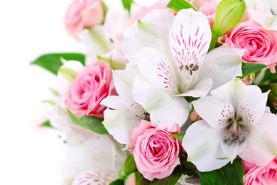 Pink Roses And Orchids Bouquet Uhd Wallpapers   Ultra High ...