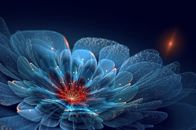 Amazing Abstract Flower HD Wallpapers.jpg