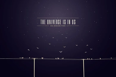 Dribbble   Show And Tell For Designers