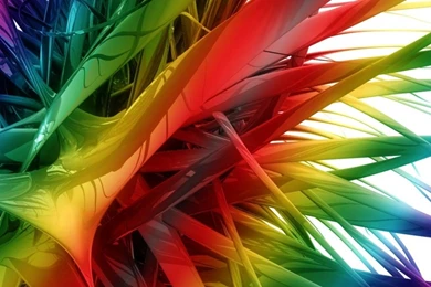 Remove Wallpapers On PC   Wallpapers Animal Hd