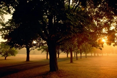 Wallpapers En De Amor 1024x768