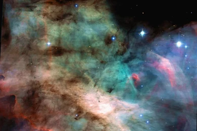 I N S P I R A T I O N