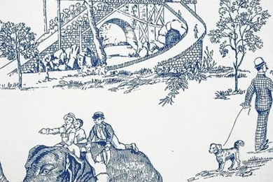 Carnival Toile Wallpapers