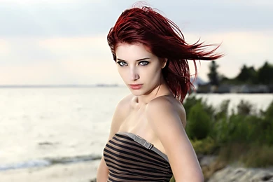 Susan Coffey Wallpapers
