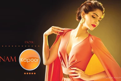 Sonam Kapoor Hot Wallpapers 10