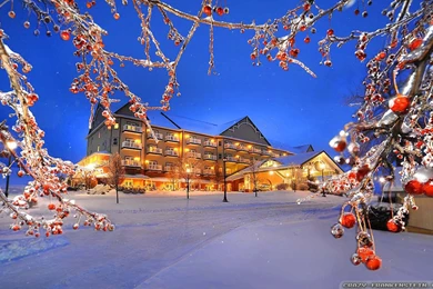 Winter Nature Wallpapers   Crazy Frankenstein